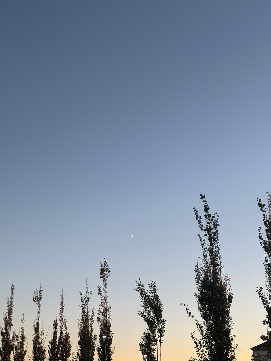 On Grief and&nbsp;Grieving