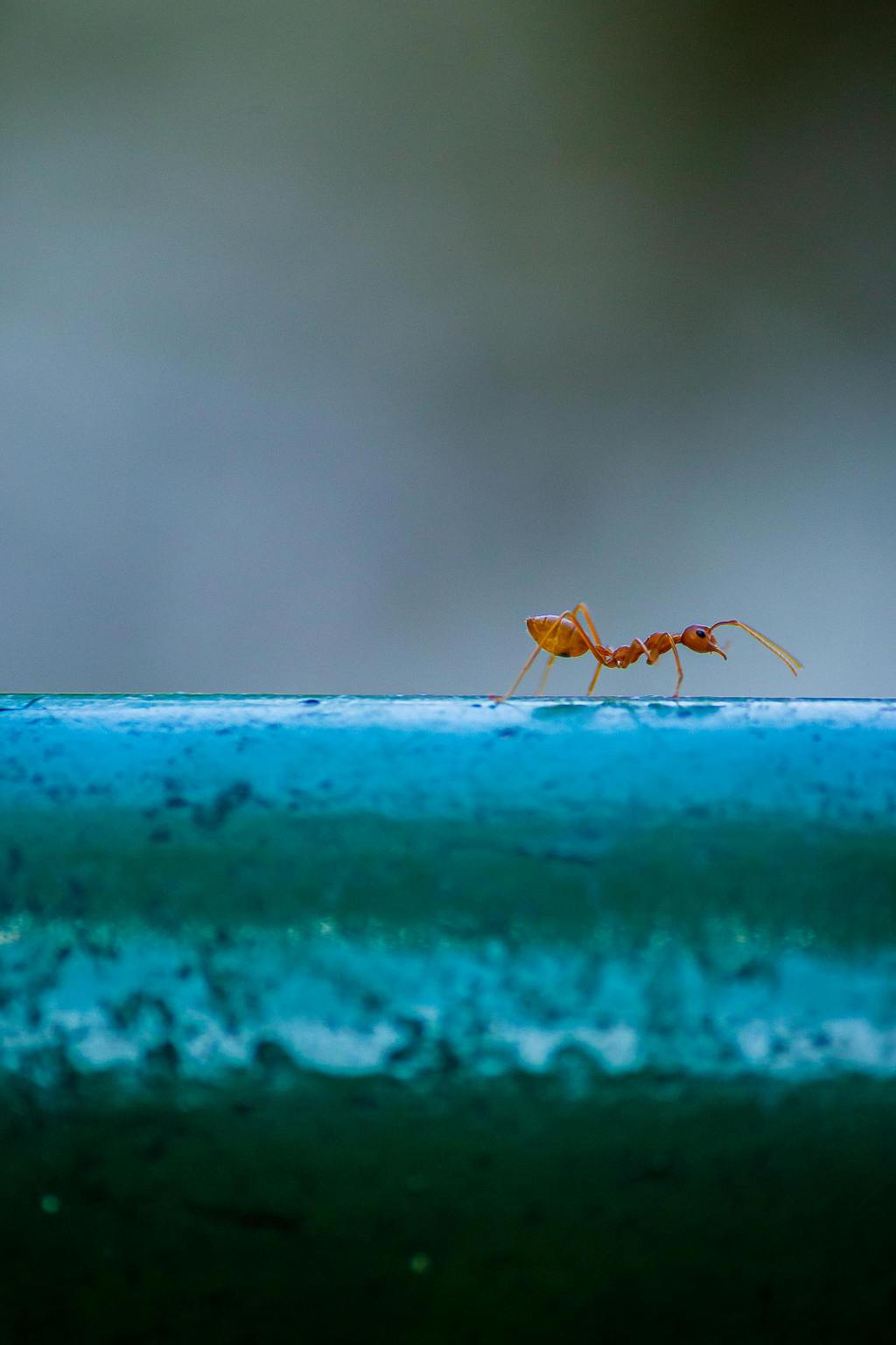 On Perseverance